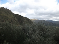 cantara gurne23122011 100